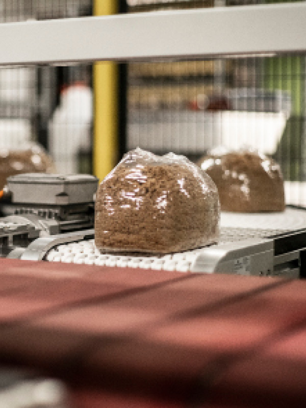 07: Substrate: Schweizer Rohstoffe