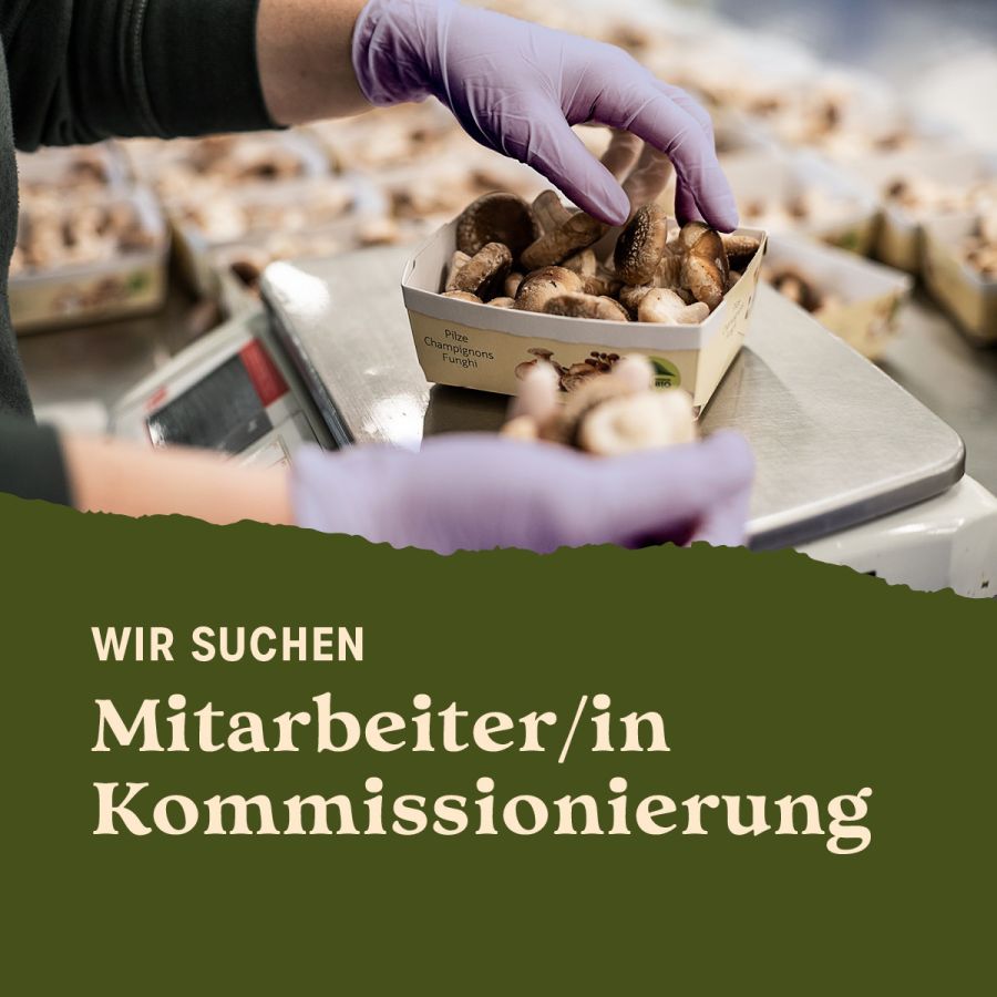 Offene Stelle: Mitarbeiter/in Kommissionierung 80 – 100%